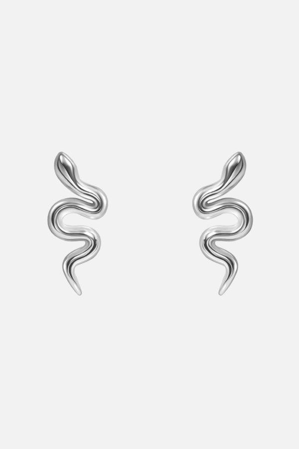 мини пусеты змейки